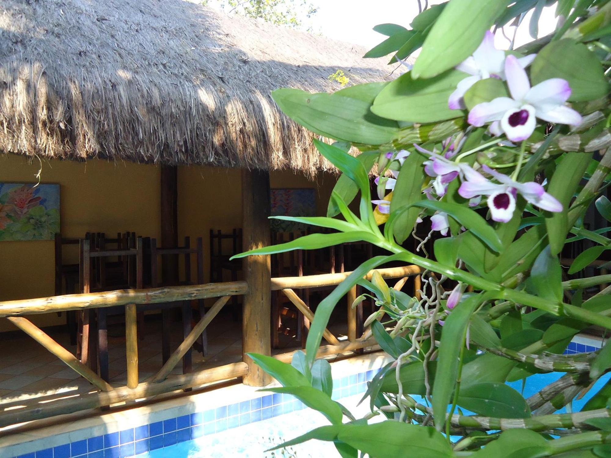 Pousada Laguna Blue Paraty Ngoại thất bức ảnh