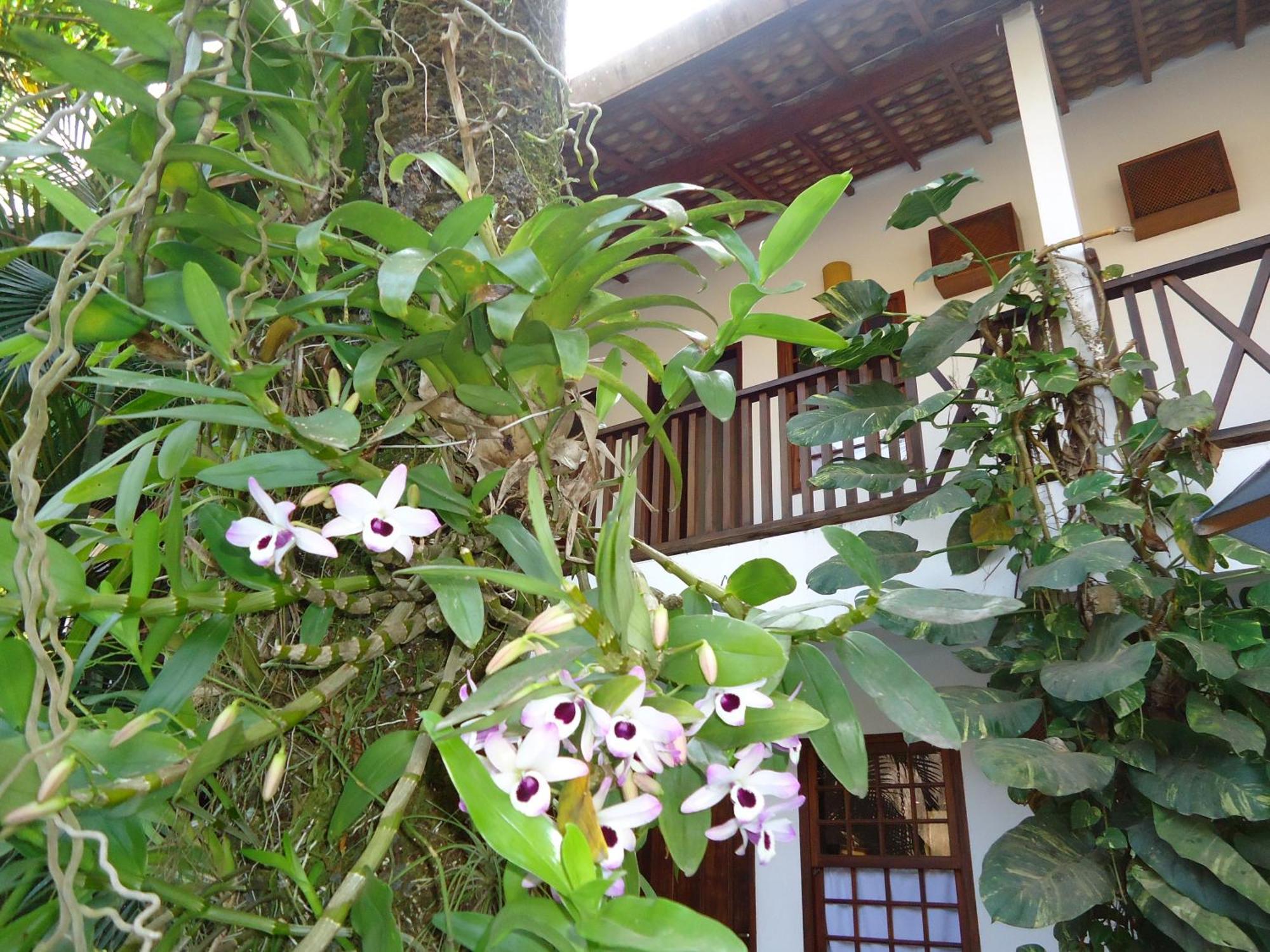 Pousada Laguna Blue Paraty Ngoại thất bức ảnh